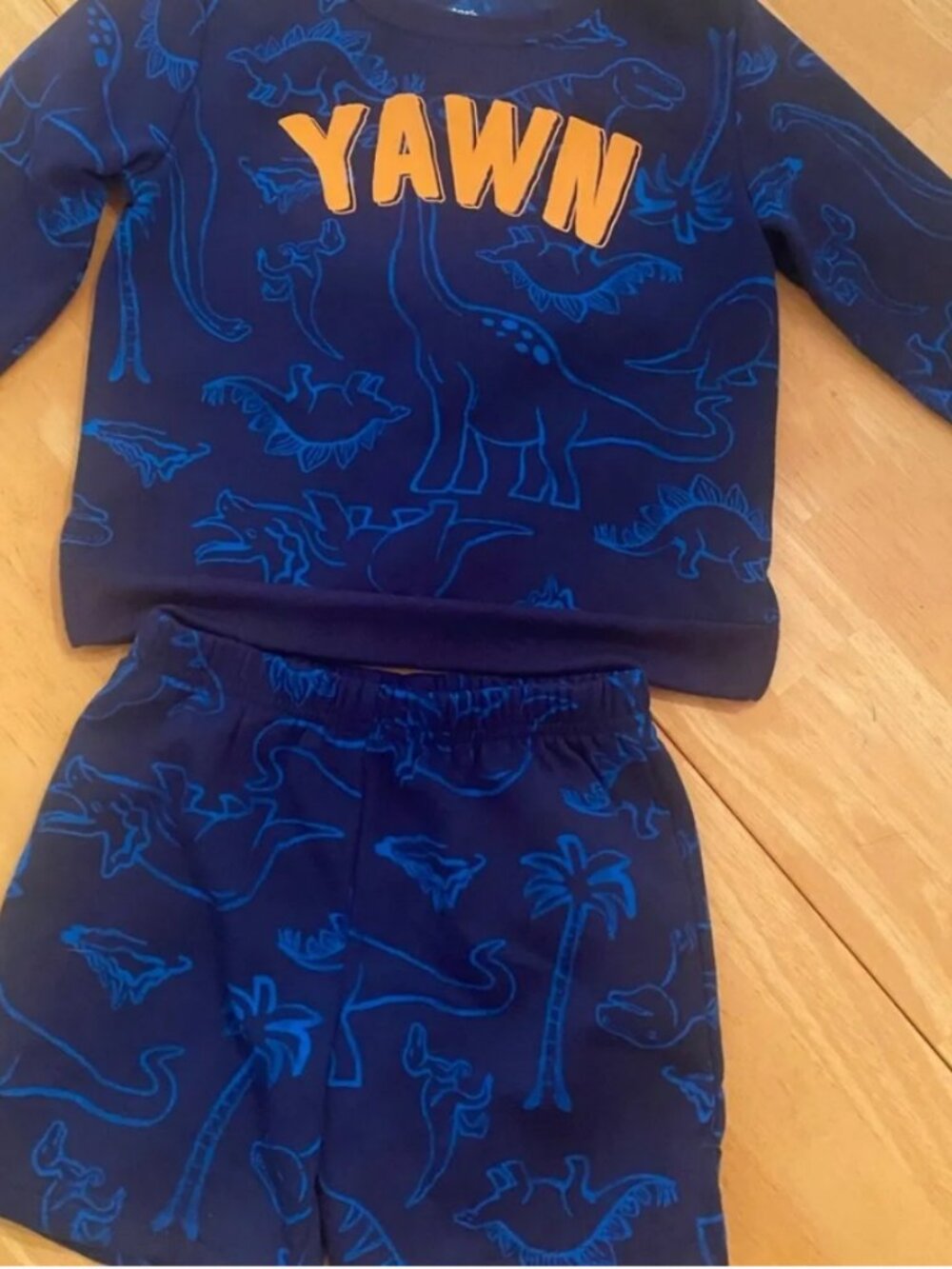 Carter's Navy Dinosaur PJ Set